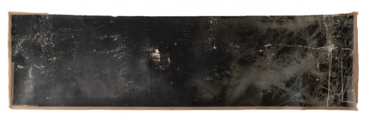Lenka Trčková_Latence II, 2021, fotogram, barytový papír, 80x300cm